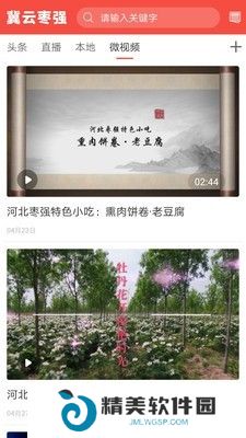 冀云枣强最新版