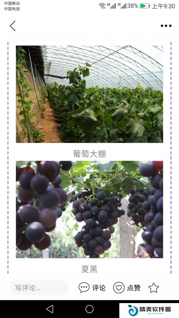 冀云怀来